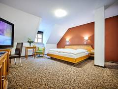 Zimmerbild 10