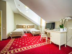 Zimmerbild 8