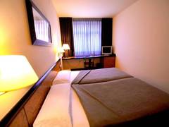 Zimmerbild 6