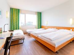 Zimmerbild 11