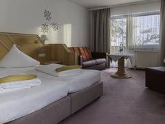 Zimmerbild 10