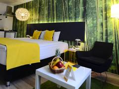 Zimmerbild 13