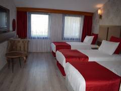 Zimmerbild 9