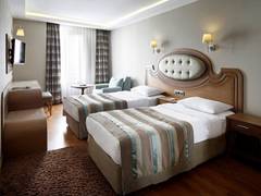 Zimmerbild 3