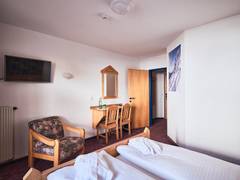 Zimmerbild 4
