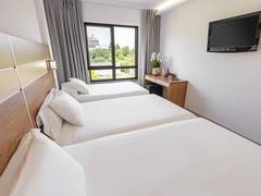 Zimmerbild 8