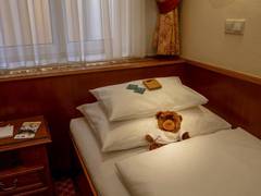 Zimmerbild 8