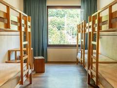 Zimmerbild 12