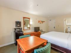 Zimmerbild 43