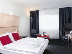Zimmerbild 5
