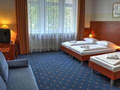 Zimmerbild 7