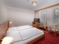 Zimmerbild 8