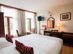 Zimmerbild 25