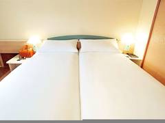Zimmerbild 10