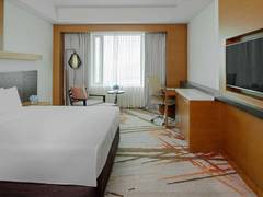 Zimmerbild 2
