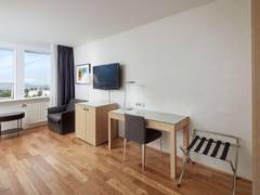 Zimmerbild 21