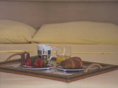 Zimmerbild 8