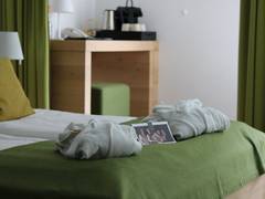 Zimmerbild 5