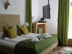 Zimmerbild 7
