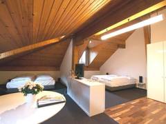 Zimmerbild 9