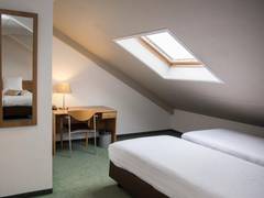 Zimmerbild 7