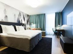Zimmerbild 16