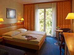 Zimmerbild 11