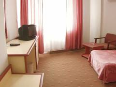 Zimmerbild 7