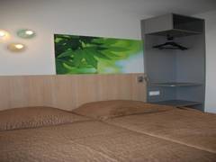 Zimmerbild 1