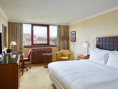 Zimmerbild 12