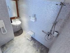 Zimmerbild 11