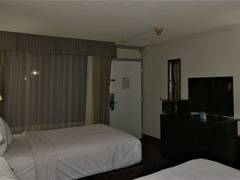 Zimmerbild 5