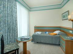 Zimmerbild 13