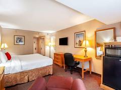 Zimmerbild 8