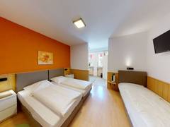 Zimmerbild 8
