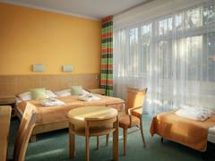 Zimmerbild 6