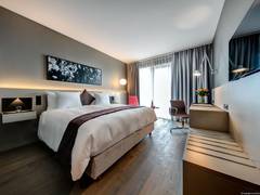 Zimmerbild 8