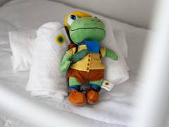 Zimmerbild 5