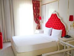 Zimmerbild 8