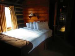 Zimmerbild 6