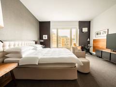 Zimmerbild 6