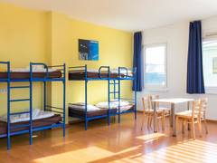 Zimmerbild 8