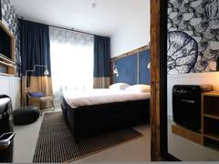 Zimmerbild 17