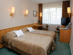 Zimmerbild 5