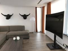 Zimmerbild 23