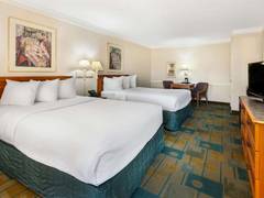 Zimmerbild 12