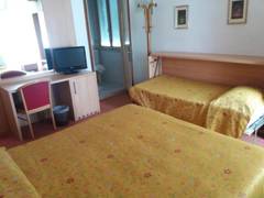 Zimmerbild 8
