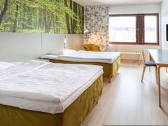 Zimmerbild 9