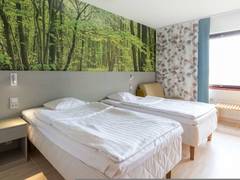 Zimmerbild 15