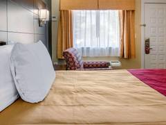 Zimmerbild 4